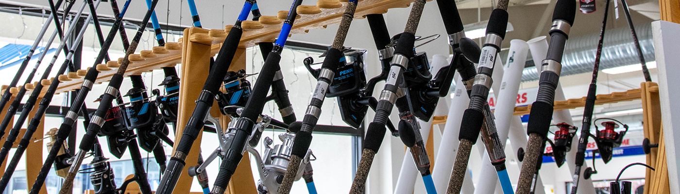 fishing rods set out on display