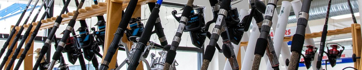 fishing rods set out on display